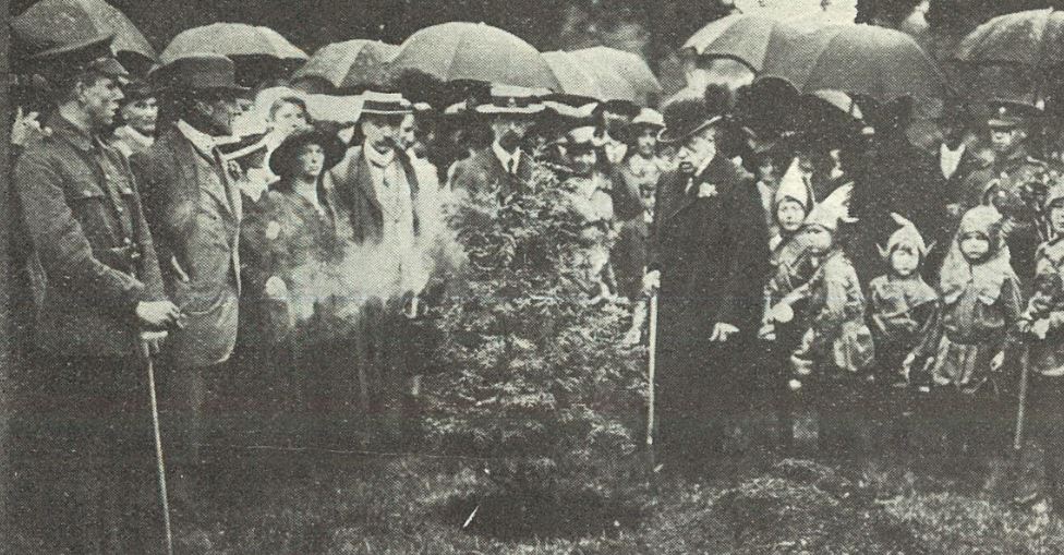 'Sir James Agg-Gardner, M.P., planting a tree to commemorate the jubilee of his public life in the town'<br>- that's a shame about the weather!<br><small><i>Cheltenham Chronicle and Gloucestershire Graphic</i> 29 June 1918</small>