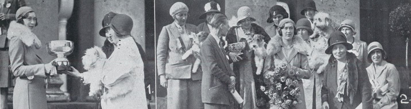 (left) 'Lady Mary Cambridge presenting cup for the best dog in show to Mrs. Cyril Pacey for her West Highland white dog, 'Champion Wolvey Pepper'<br>(right) 'Lady Mary Cambridge with ladies' committee'<br><small><i>Cheltenham Chronicle and Gloucestershire Graphic</i> 9 May 1931</small>